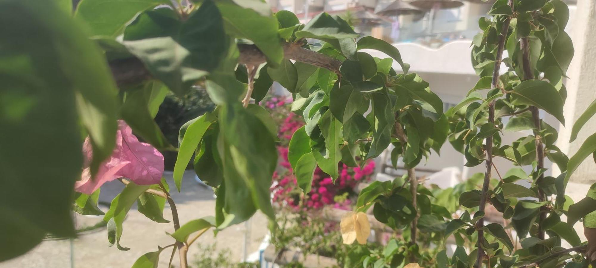 Sea Breeze Apartment Bougainville Bay Sarandë エクステリア 写真